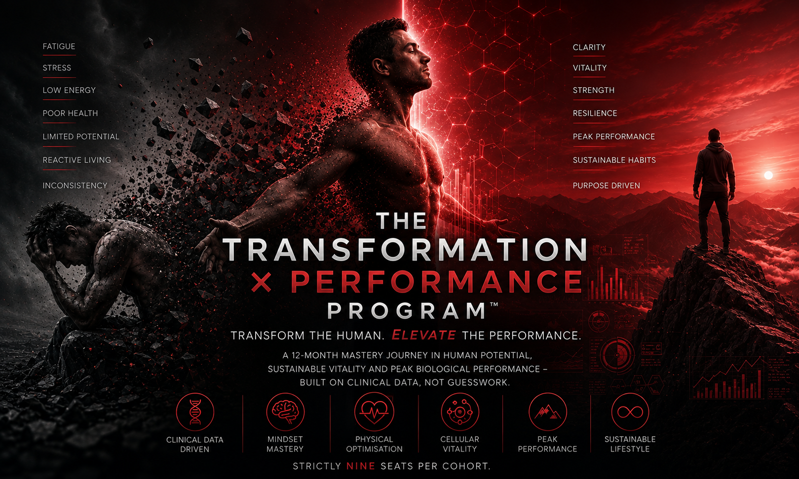 The Transformation × Performance Program - T×P Method